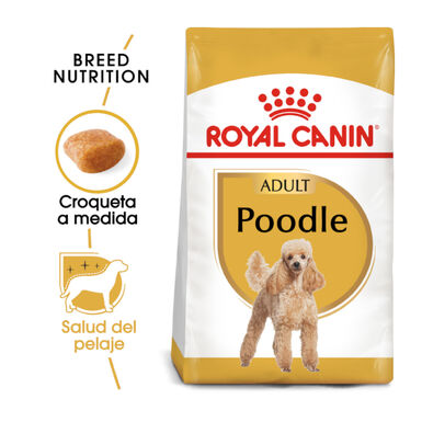 Royal Canin Adult Poodle pienso para perros